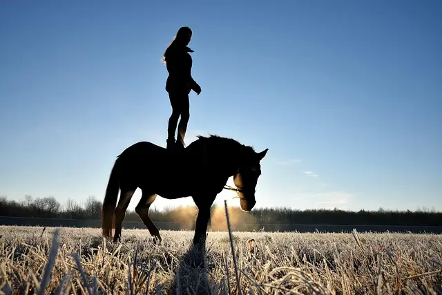 10 Trucs Pour Gagner Plus d'Argent Avec Vos Hobbies