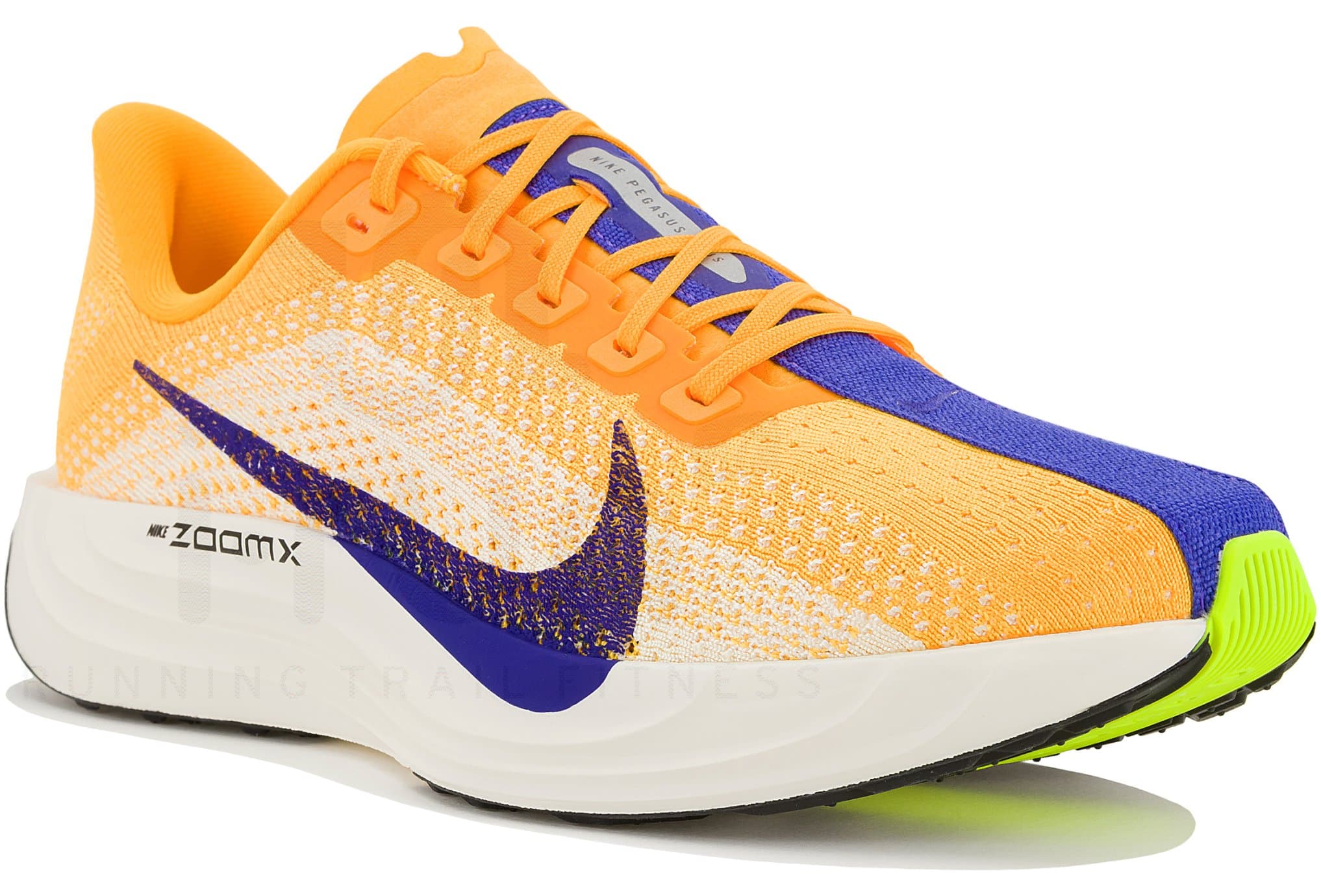 Nike Pegasus Plus