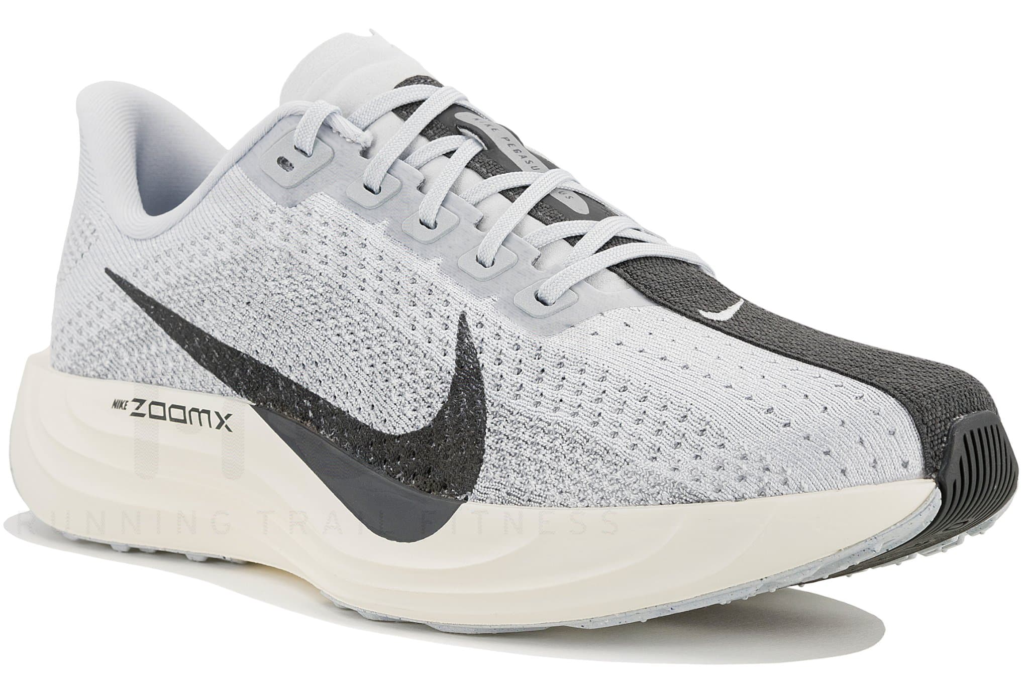 Nike Pegasus Plus