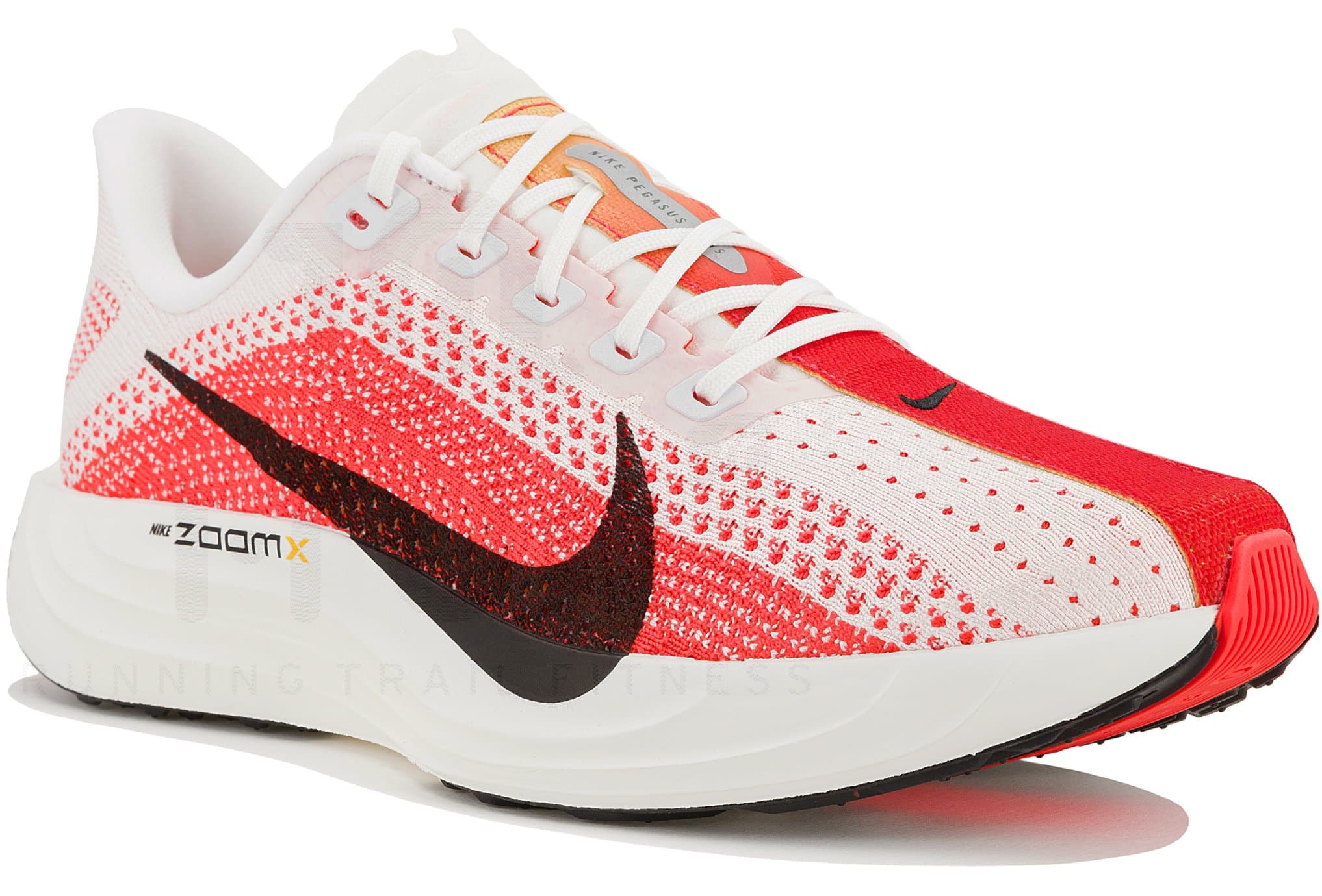 Nike Pegasus Plus