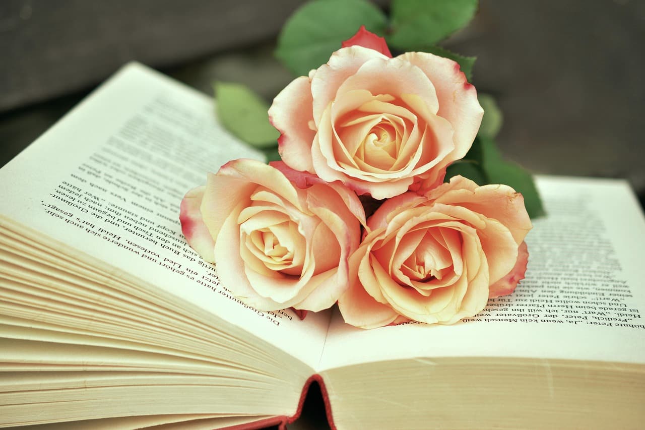 10 Trucs Pour Gagner en Intellect : Techniques et Stratégies