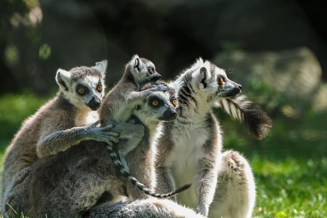 10 Trucs Pour Gagner en Confiance dans vos Relations